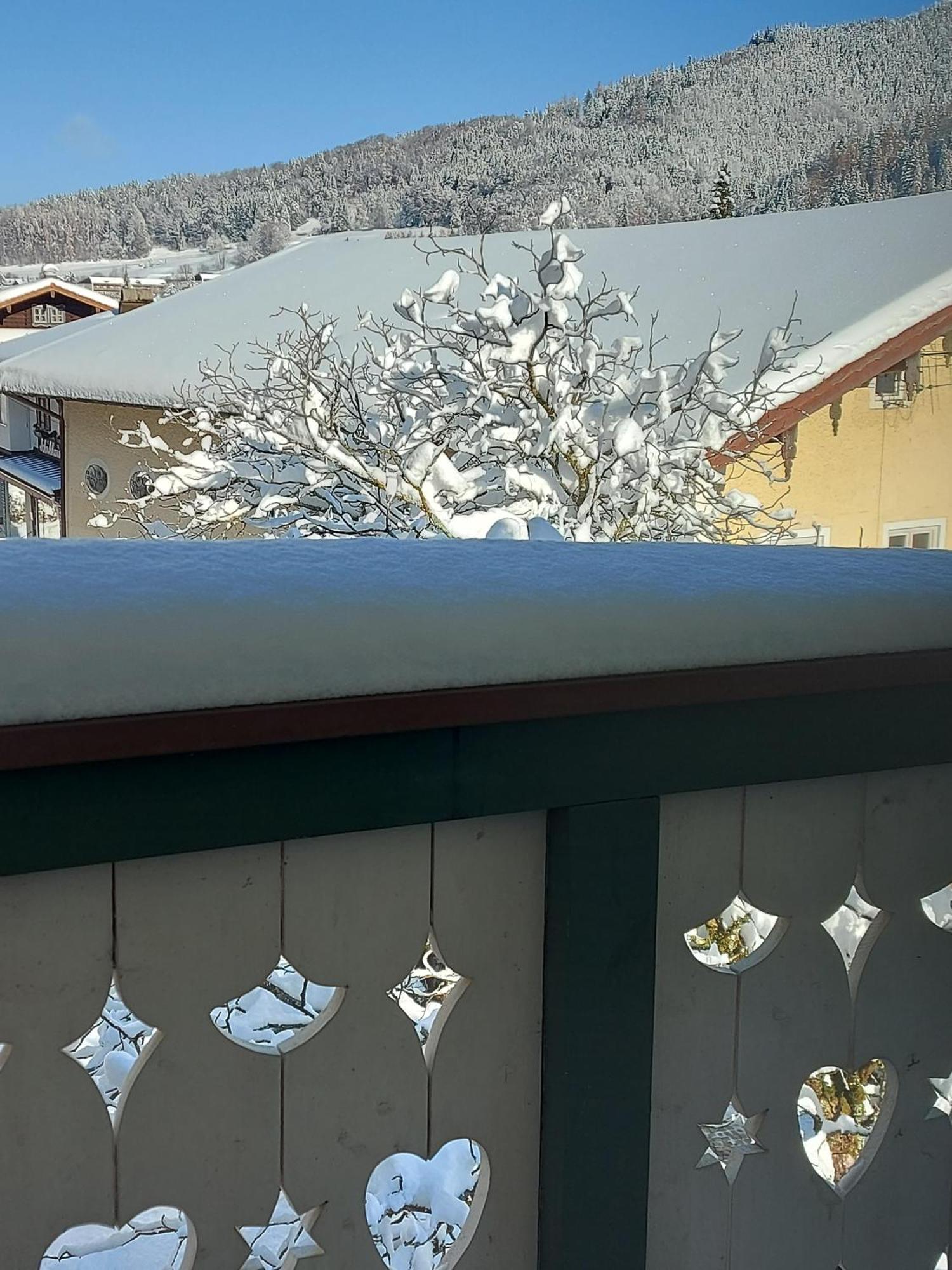 Ferienwohnungen Schneiderhaeusl Inkl. Chiemgaukarte Ruhpolding Exterior photo