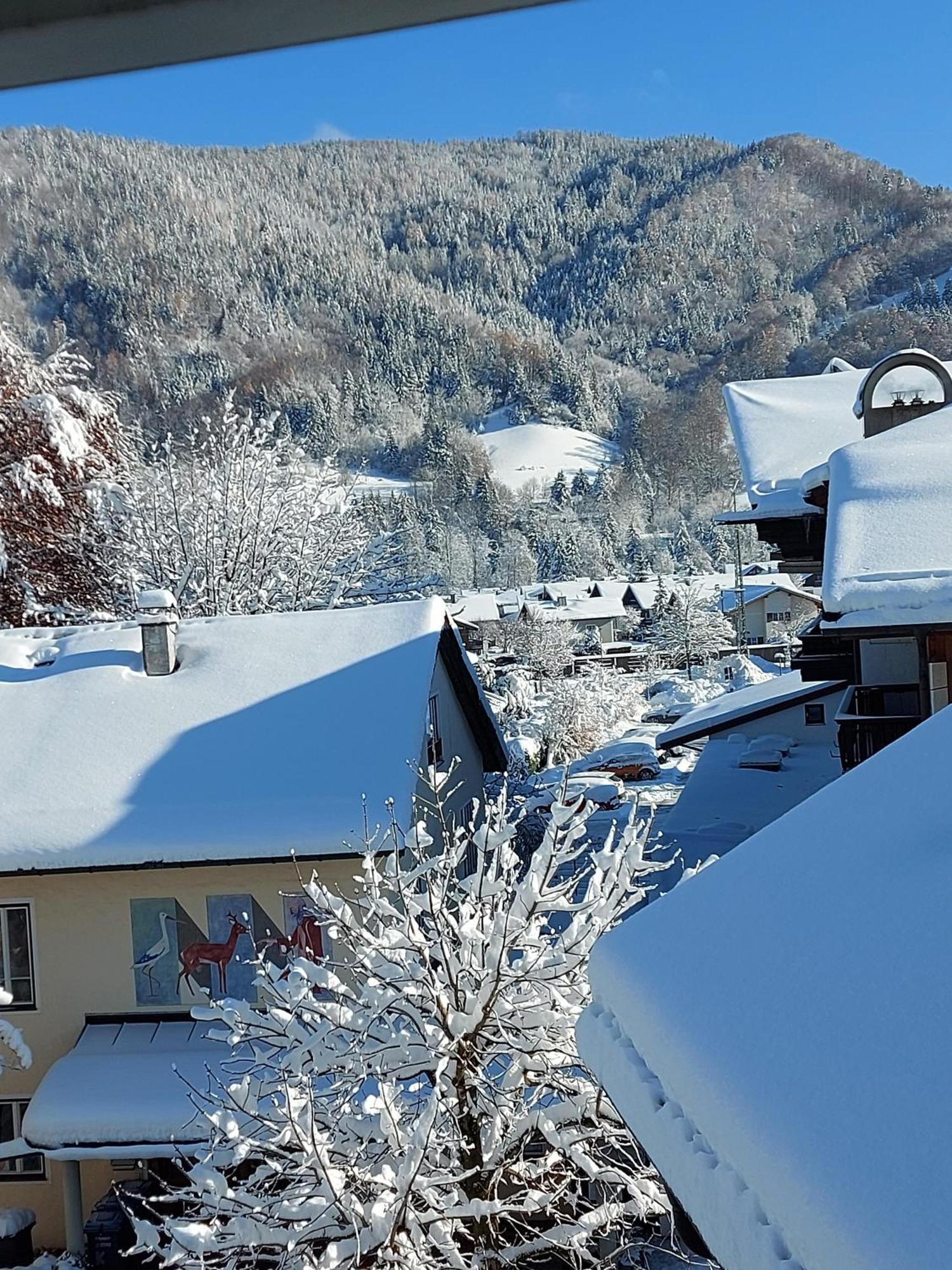 Ferienwohnungen Schneiderhaeusl Inkl. Chiemgaukarte Ruhpolding Exterior photo